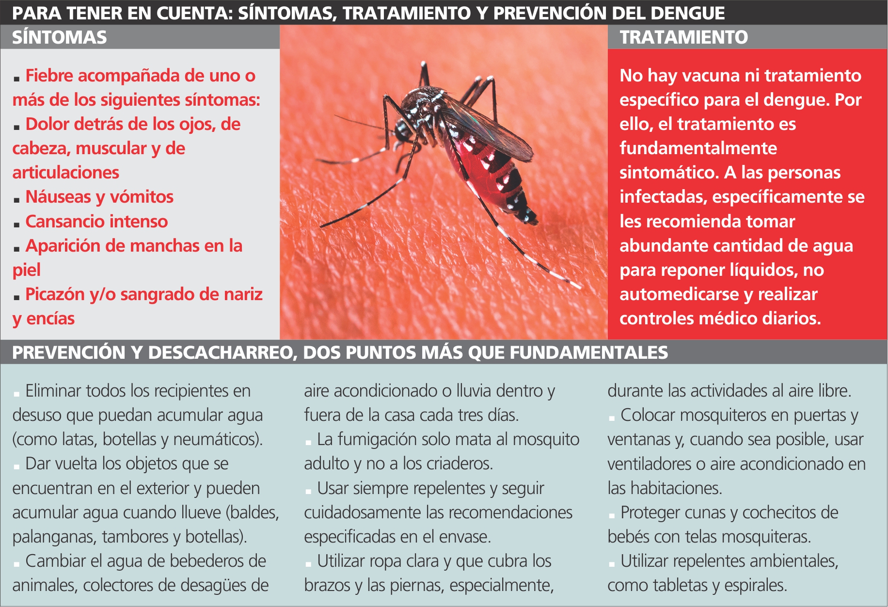 Dengue los casos siguen en aumento y generan alarma y preocupación